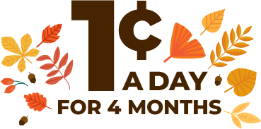 1¢ a day for 4 months